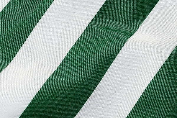 Bali MCE swim briefs