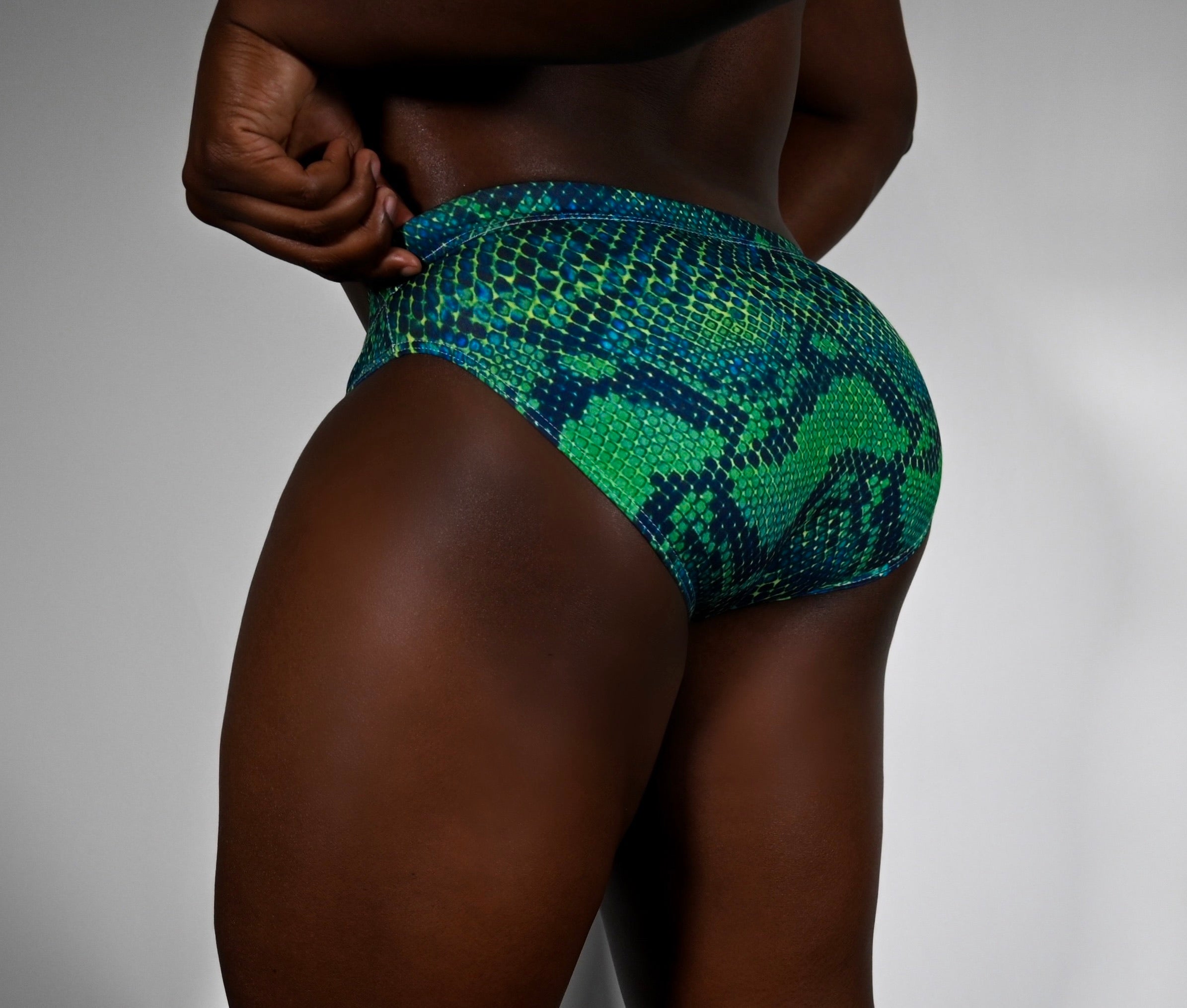 Anaconda swim briefs